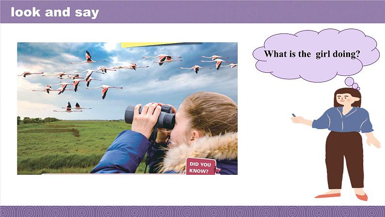 新外研版七年级英语上册Unit 2 More than fun Developing ideas课件03