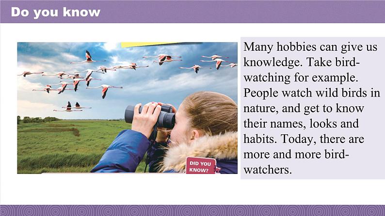 新外研版七年级英语上册Unit 2 More than fun Developing ideas课件04