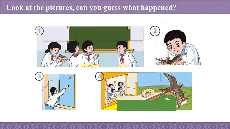 新外研版七年级英语上册Unit 2 More than fun Developing ideas课件06