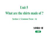 人教新目标版九全英语 Unit5 SectionA GrammarFocus~4c 教学课件