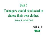 人教新目标版九全英语 Unit7 SectionB 3a~SelfCheck 教学课件