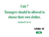 人教新目标版九全英语Unit7SectionB2a~2e教学课件