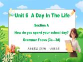 Unit 6 课时3 Section A Grammar Focus (3a-3d)(课件）- 2024-2025学年人教版（2024）英语七年级上册