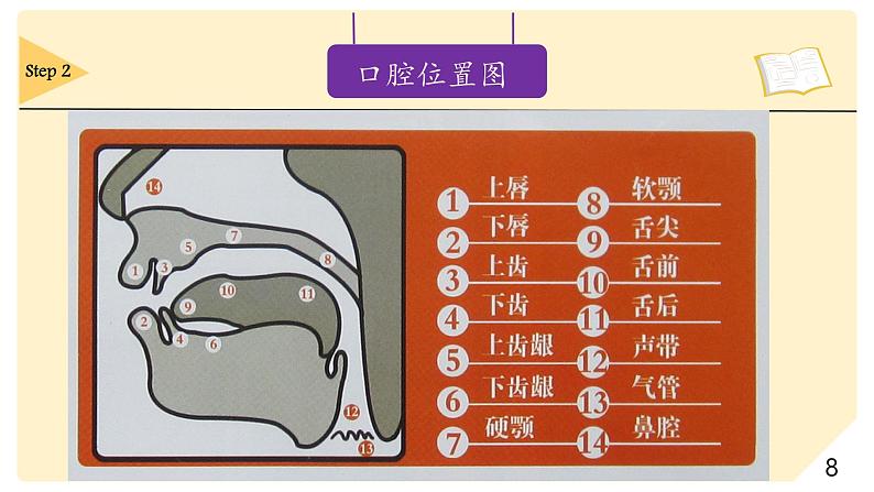 2024年人教版新教材   爆破音 课件08