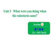 Unit 3 What were you doing when the rainstorm came_ Section B 3a~Self Check課件魯教版（五四制）八年級上冊