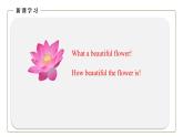 初中英语科普版八年级上册Unit 3 Topic 2 What sweet music! Section D 课件+音视频