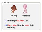 初中英语科普版八年级上册Unit 4 Topic 1 What's the strongest animal on the farm Section D 课件+音频