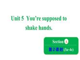 鲁教版（五四制）九年级全册Unit 5 You’re supposed to shake hands. Unit 5 Section A 3a~4c课件