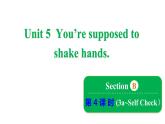鲁教版（五四制）九年级全册Unit 5 You’re supposed to shake hands. Section B 3a~Self Check课件