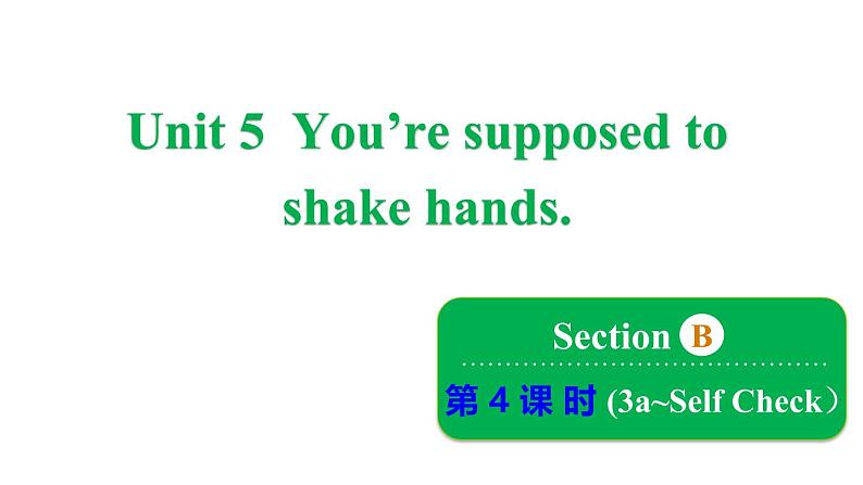 鲁教版（五四制）九年级全册Unit 5 You’re supposed to shake hands. Section B 3a~Self Check课件01