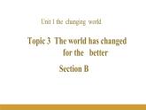 Unit 1 Topic 3 Section B課件+內(nèi)嵌音視頻（仁愛科普版九年級(jí)上冊(cè)）
