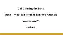 初中英语仁爱科普版九年级上册Topic 3 What  can we do to protect the environment?优秀课件ppt