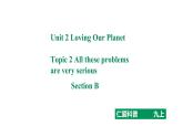 Unit 2 Topic 2  All these problems are very serious. Section B 课件+练习+音视频（仁爱科普版九年级上册）