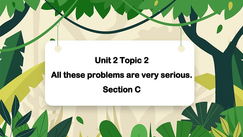 Unit2 Topic2 All these problems are very serious. Section C 课件+音频01