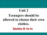 Unit 2 Teenagers should be allowed to choose their own clothes  Section B 1a-1e 課件+素材