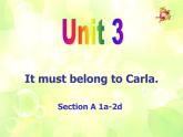 Unit 3 It must belong to Carla  Period 1 Section A (1a-2d)課件+素材