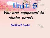 Unit 5 You’re supposed to shake hands  Section B 1a-1d 课件+素材