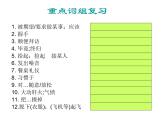 【单元复习】Unit 5 You’re supposed to shake hands 单元复习课件