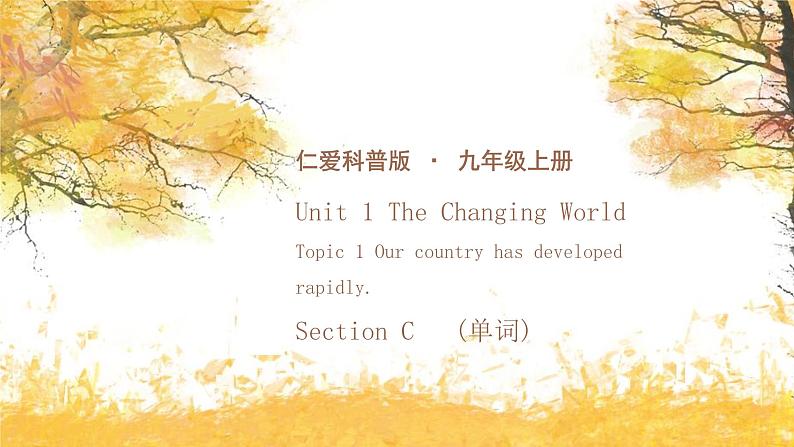 仁爱科普版英语九年级上册 Unit 1 Topic 1 Our country has developed rapidly Section C 课件+词汇课件+教案+练习+音视频01