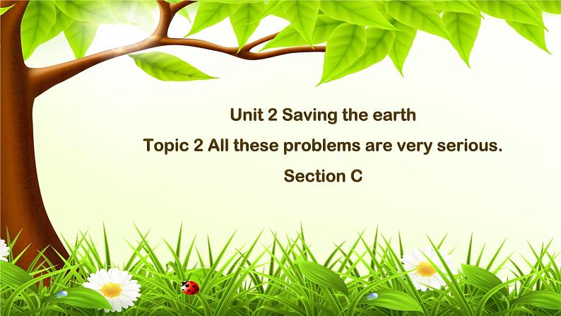 仁爱科普版英语九年级上册 Unit 2 Saving the earth.Topic 2 Section C 课件+教案+练习+音视频01