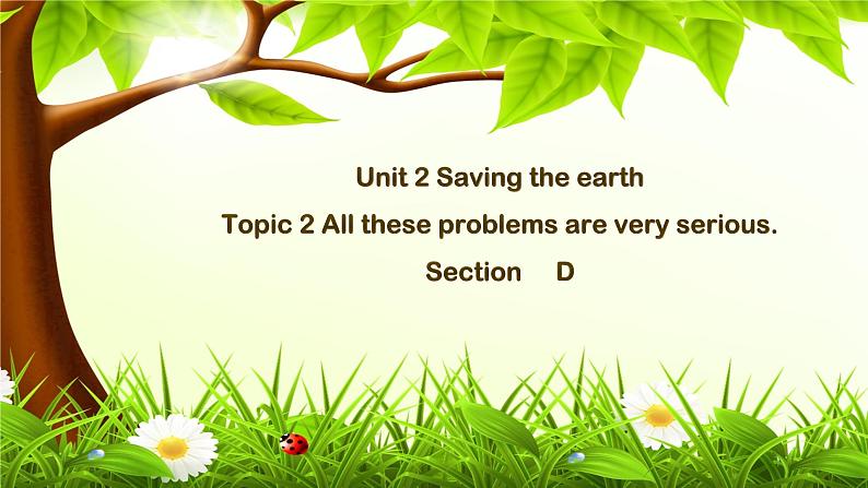 仁爱科普版英语九年级上册 Unit 2 Saving the earth.Topic 2 Section D 课件+教案+练习+视频01