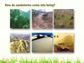 仁爱科普版英语九年级上册 Unit 2 Saving the earth.Topic 2 Section D 课件+教案+练习+视频