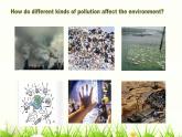 仁爱科普版英语九年级上册 Unit 2 Saving the earth. Topic 3 Section A课件+教案+练习