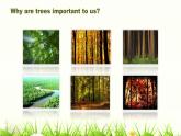仁爱科普版英语九年级上册 Unit 2 Saving the earth.Topic 3  Section D课件+教案+练习+音频