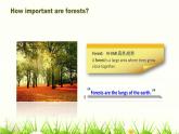 仁爱科普版英语九年级上册 Unit 2 Saving the earth.Topic 3  Section D课件+教案+练习+音频