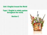 仁爱科普版英语九年级上册 Unit 3 Topic 1 Section C课件+教案+练习+音视频