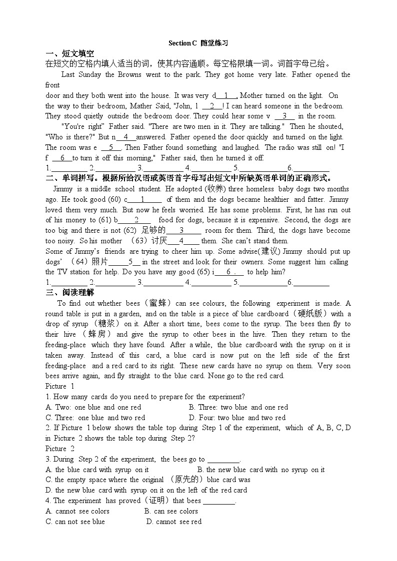 仁爱科普版英语九年级上册 Unit 3 English around the World Topic 2 SectionC  课件+教案+练习+音频01