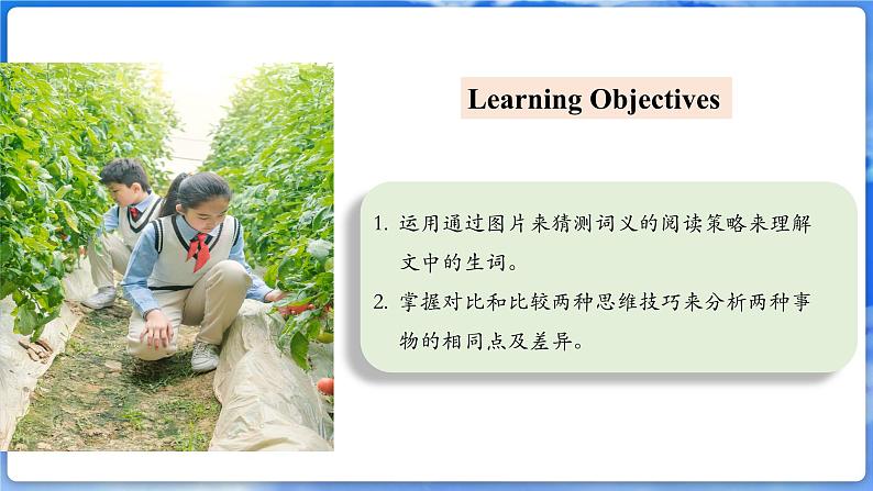 仁爱科普版（2024）英语七年级上册--Unit 5 Love Mother Nature! 第3课时 Thinking Skills and Raeding Strategies（课件+教案）02