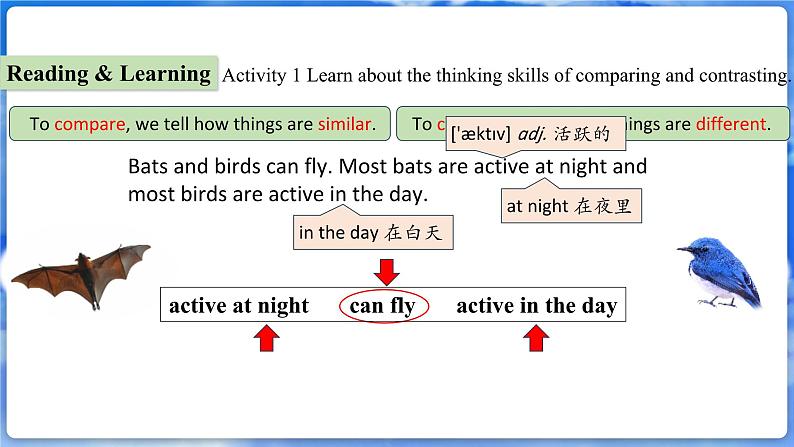 仁爱科普版（2024）英语七年级上册--Unit 5 Love Mother Nature! 第3课时 Thinking Skills and Raeding Strategies（课件+教案）04