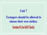 2024-2025学年九年级上人教版英语（成套课件） unit 7 课时6 Section B (3a-Self Check)