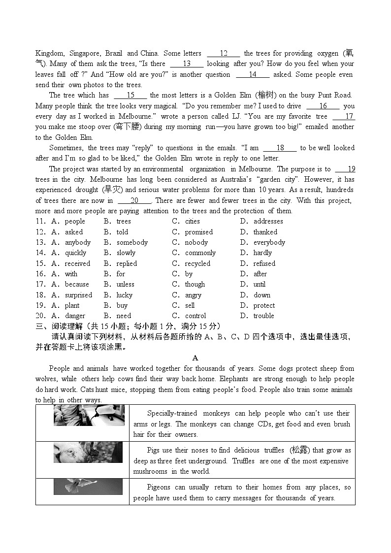 江苏省南京市金陵中学河西分校2023-2024学年八年级上学期期末模拟英语试卷第2页