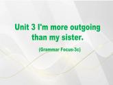 人教版初中英语八年级上册Unit3 Section A Grammar Focus-3c 课件