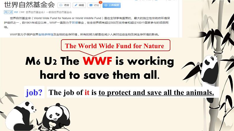 外研版新标准英语八年级上册Module6Unit2The WWF is working hard to save them all课件01