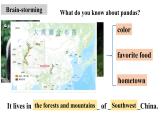 外研版新标准英语八年级上册Module6Unit2The WWF is working hard to save them all课件