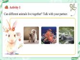 【核心素养】冀教版英语七年级上册 Unit 5 Animal friends Lesson 2 The rhino and the egret 课件