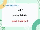 【核心素养】冀教版英语七年级上册 Unit 5 Animal friends Lesson 5 Save the tigers! 课件