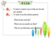 【核心素养】冀教版英语七年级上册 Unit 5 Animal friends Lesson 5 Save the tigers! 课件