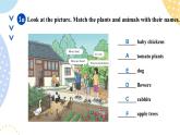 鲁教版（五•四学制）•英语_六年级 (上) - Bridging Unit 3 Section A 课件