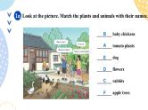 鲁教版（五•四学制）•英语_六年级 (上) - Bridging Unit 3 Section A 课件