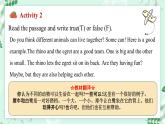 冀教版2024七年级上册英语Unit 5 Animal friends Lesson 2 The rhino and the egret 课件