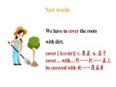 冀教版初中英语八下Unit 2 Lesson 7  Planting Trees课件+教案+素材