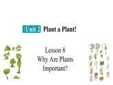 冀教版初中英语八下Unit 2 Lesson 8  Why Are Plants Important课件+教案+素材