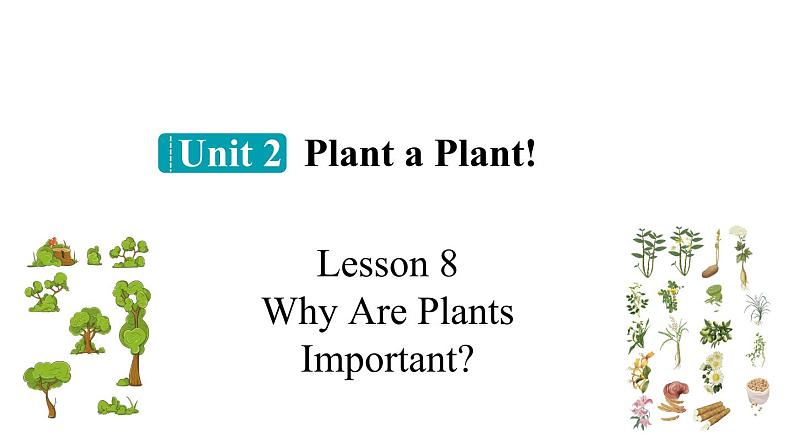 冀教版初中英语八下Unit 2 Lesson 8  Why Are Plants Important课件+教案+素材01