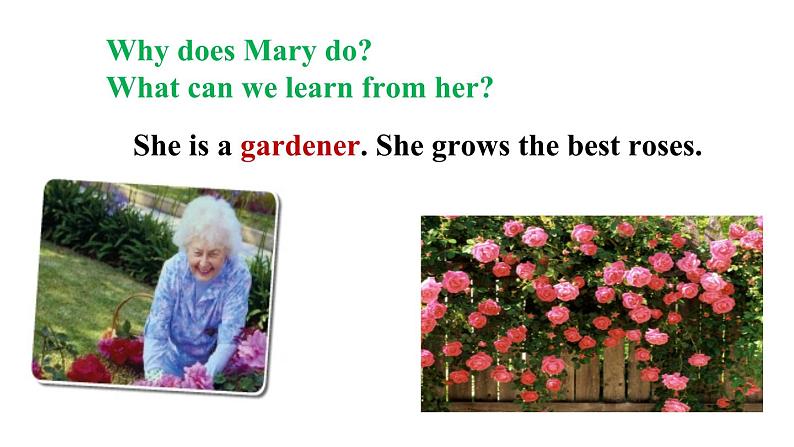 冀教版初中英语八下Unit 2 Lesson 9  Gardening with Mary课件+教案+素材05