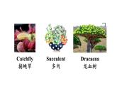 冀教版初中英语八下Unit 2 Lesson 11  Amazing Plants课件+教案+素材