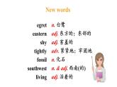 冀教版初中英语八下Unit 2 Lesson 11  Amazing Plants课件+教案+素材